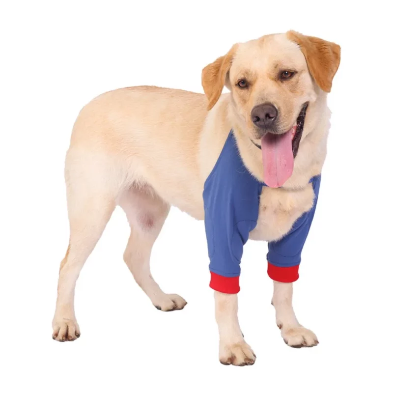 Coudiere pour gros chien – Image 2