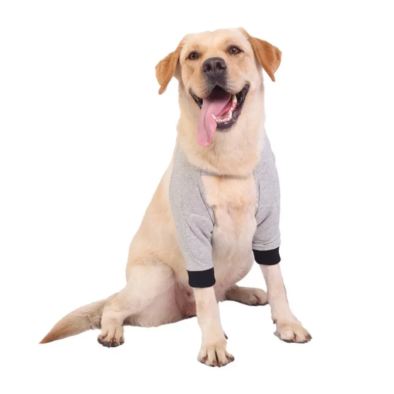 Coudiere pour gros chien – Image 3